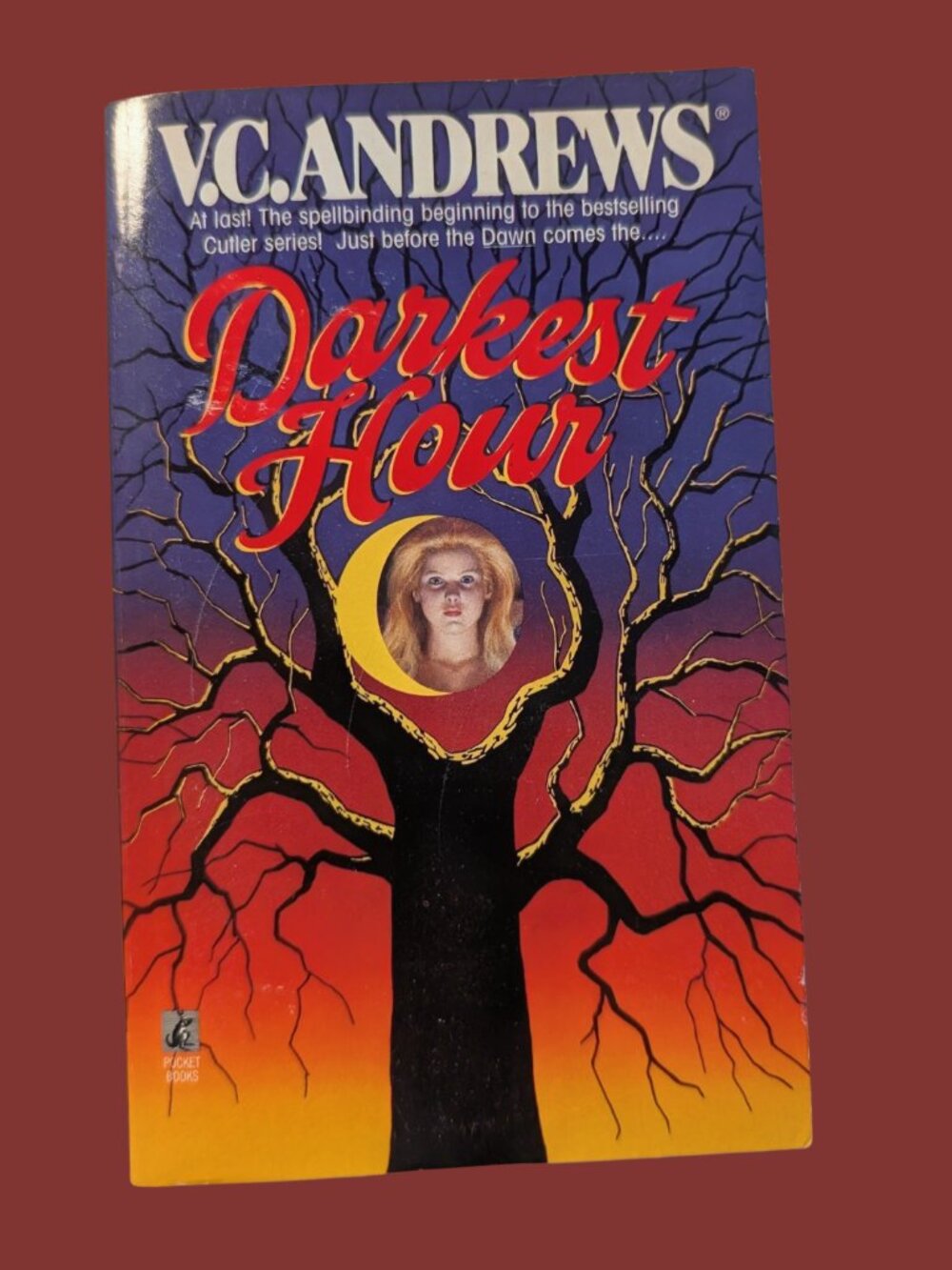 BOGO Vintage 1990's Darkest Hour by V.C. Andrews Cutler Family Book 5 Paperback